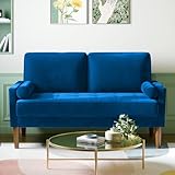 Meskanu Couch 2 Sitzer, 121 cm Samt Kleines Sofa mit 2 Wurfkissen, Modern Mini Sofa, Getuftetes...