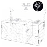 Fischzucht Kasten mit Saugnäpfen, Isolationsbox Aquarium, Acryl Aquarium Isolationsbox,...