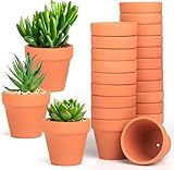 FAINCA 20 Stück Tontöpfe Klein 4x4,5 cm Terrakotta Topf mit Abflussloch Terracotta Blumentopf...