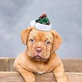 Poo4kark Eleganter Geburtstags Haarschmuck mit Spitzer Verzierung Perlen roter Glitzer verstellbare...