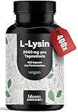L-Lysin hochdosiert - 400 Kapseln mit 2000mg pures L Lysin pro Tagesportion. Aus pflanzlicher...