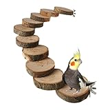 Sittichleiter – Hängebrückenspielzeug | Kauendes Kletterspielzeug für Vögel, Nymphensittiche,...