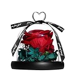 yilin Valentines Day Gift Exclusive Rose in Glass Dome Eternal Real Rose Wedding Party Home...