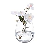 Relaxdays Florero Vidrio Blumenvase, Glasvase für Blumen, Tischvase aus Klarglas, hohe Tulpenvase,...