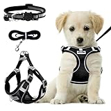 RAFIYU Hundegeschirr Medium Breathable Vest, Step-in Cat Puppy Harness and Lead Sets, Adjustable...