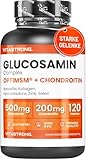 Glucosamin Chondroitin mit MSM Kollagen und Hyaluronsäure, Zink, Selen, Mangan, Boswellia,...