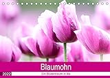 Blaumohn - Ein Blütentraum in lila (Tischkalender 2022 DIN A5 quer): Blaumohn (Monatskalender, 14...