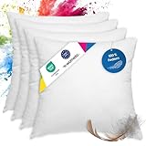 wometo 4er Set Federkissen 100% Federn 40x40-300g Oeko-TEX Sofakissen Kissen Füllkissen Bezug...