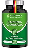Abnehmen mit GARCINIA CAMBOGIA | 60% HCA Hochdosiert | 100% Natürlicher Fatburner +...