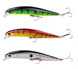 FainFun Minnow Wobbler, 3 Stück 10CM Angelköder Hecht Wobbler Set, Realistischer Topwater Köder...