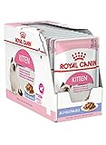 Royal Canin Feline Portionsbeutel Multipack Kitten Instinctive in Gelee 12x85g