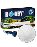 HOBBY Aquaristik Ektozon N I 125 g I Arzneimittel für Fische gegen Pilze und Bakterien I effektive...