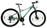 E-ROCK Mountainbike 29 Zoll, EX-10, Tourenrad, Fahrrad, MTB, Tourenfahrrad, Trekkingrad, Herren,...