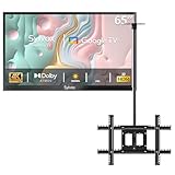 SYLVOX Outdoor TV mit Deckenhalterung, 65 Zoll Smart TV wasserdichte Outdoor Fernseher, 4K Fernseher...