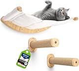 AZANO® Kletterwand Katze | Katzenhängematte [Extra Stabil und Groß] mit Katzentreppe für die...