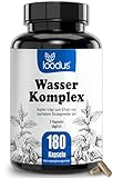 Wasser Komplex - 180 Brennnessel Extrakt Kapseln mit Petersilie Wacholderbeeren Löwenzahn Magnesium...