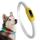 Leuchtendes Hundehalsband, LED-Hundehalsband, Blinklicht-Halsband, regenfest, wiederaufladbar, mit...