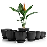 BigDean 8er Set Blumentopf in 8 verschiedenen Größen mit passenden Untersetzer Anthrazit –...