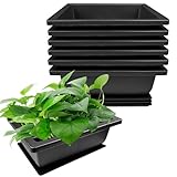 Ovtai Bonsaischale, 6 Stück Töpfe, 16x12x6cm Bonsai Schale mit Untersetzer, Kunststoff Topf,...