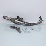 Auspuff Giannelli für Peugeot 50 Ludix Snake 2004-2012 31614E