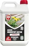 PROTECT GARDEN Permaclean Grundstoff Acetum, turboschnelle Beseitigung von Unkraut auf Wegen,...