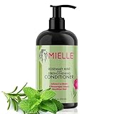 P-Beauty Rosmarin Minze Conditioner mit Biotin 355ml - stärkende Haarspülung für Haarwachstum &...