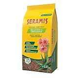 Seramis Spezial-Substrat für Kakteen und Sukkulenten, 2,5 l – Pflanzen Tongranulat, Kakteenerde...