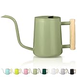 Gießkanne Zimmerpflanzen, 1L Gießkanne Klein Indoor Metall Edelstahl Moderner Dekorativer...