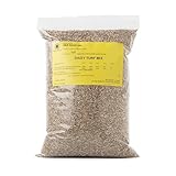 R&R SHOP - Rasensamen mit Gänseblümchen, schnelles Wachstum, doppelte Gänseblümchensorte...