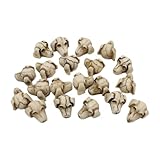 ZEPFJHE 20pcs Harze Hundeschädel Set Für Haus Und Gartendekoration Für Gartenweg Und...