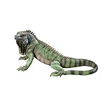 Design Toscano Iggy der Leguan Gartenstatue, Polyresin, Vollfarbe, 24 x 56 x 22 cm