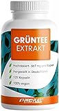Grüntee Extrakt 120x Grüner Tee Kapseln - 1333 mg pro Tag, davon 600 mg EGCG - Grüntee Kapseln...