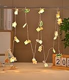 FLCSIed Dekorative Lichterkette mit Zoo-Tiermotiv, batteriebetrieben, beleuchtet von 20 LEDs, 2 m,...
