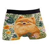 ZZKKO Pomeranian Herren-Boxershorts, Motiv: Frühlingsblumen, atmungsaktiv, dehnbar, mit Tasche,...