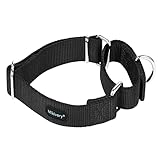 Mikivery marraht EIN hundehalsband mit verschlafenem farbenprächtigen metallhalsband für Haustiere...