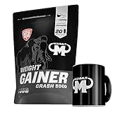 1,4kg Mammut Weight Gainer Crash 5000 für Hardgainer - Set inkl. Protein Shaker, Riegel, Powderbank...