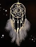 Nice Dream Traumfänger mit LED Licht, Handgemachte Dreamcatcher mit Federn, Maiden Zimmer...