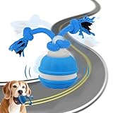 HPFVHRDCE Interaktives Hundespielzeug, automatisch rollender Ball, robuster Welpen-Kauball für...