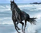 Running Black Horse - 4000-Teiliges Puzzle, Wunderschön Illustriertes Puzzle, Großes...