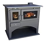 Kaminofen mit Backfach und Herdplatte 25071 Werkstattofen Viki 10,5 kW Schwedenofen Kamin...