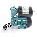 DAMBAT Hauswasserwerk 2 Liter Druckbehälter Einstufige Gartenpumpe 250W 2100 L/h 3,5 Bar WZI250 -...