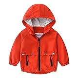 Baby Junge Regenjacke Süße Autodrucken Softshelljacke mit Reißverschluss Kapuze Langarm Jacke...