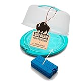 BigDean Tortenbehälter mit Kühlakku Kuchen Transportbox mit Kühlung inkl. 2 Kühlakkus Made in...