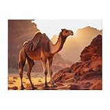 POEZJZW Flanelldecke mit Kamelmuster in der Wüste, 101,6 x 76,2 cm, Decke für superweiches...