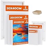 Koncci Leinwand zum Bemalen, 10 Stück 5 Größe Keilrahmen,10x15, 15x20, 20x25, 25x30, 30x40cm(je 2...