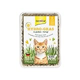 GimCat Hydro-Gras - Frisches Katzengras aus kontrolliertem Feldanbau in nur 5 bis 8 Tagen - 1 Schale...