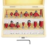 flintronic Fräser-Set, 6.35MM Fräsen Werkzeug Set, 15-tlg Holzkoffer Geschmiedeter Werkzeugstahl...
