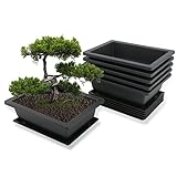 MissFox Bonsai Schale mit Untersetzer, Blumentopf Rechteckig aus Kunststoff, Bonsai Topf Set...