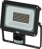 Brennenstuhl LED Strahler JARO 7060 P (LED Wandstrahler für außen IP65, 50W, 5800lm, 6500K, mit...