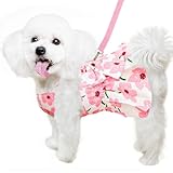 Hundekleid für weibliche Kleine Hunde,Hund Kleider Geschirr und Leine,Dog Kleid für kleine...